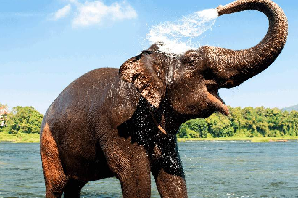 Kerala Nature and Eco Tourism